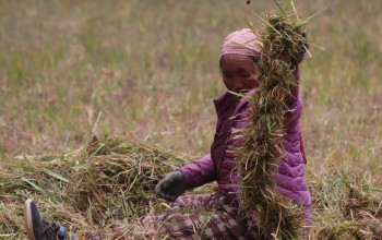 नेपालको यस्तो गाउँ जहाँ घाँस काट्न पनि साइत हेरिन्छ